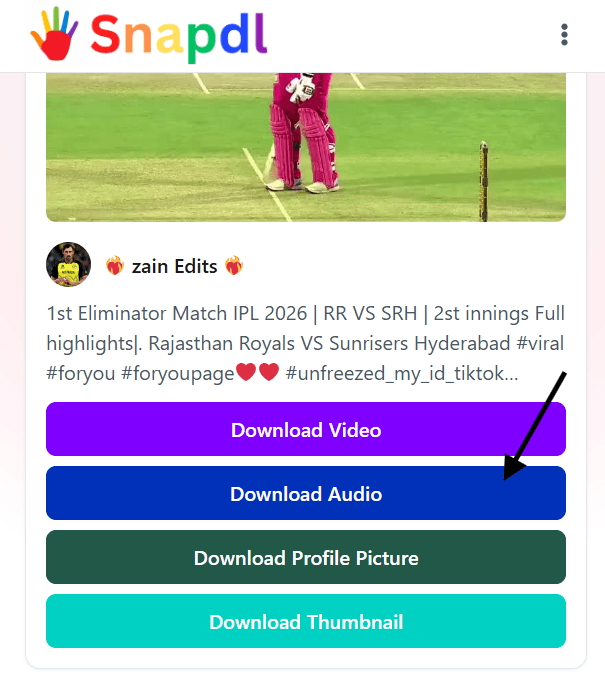 download-tiktok-mp3-how-to-download-step3