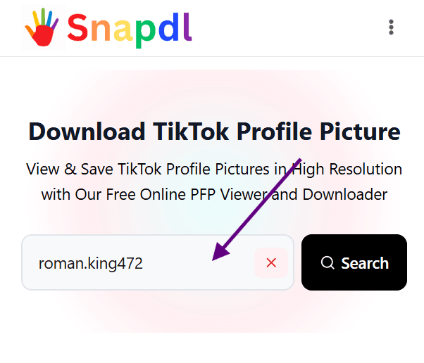 download-tiktok-profile-picture-how-to-use-step1