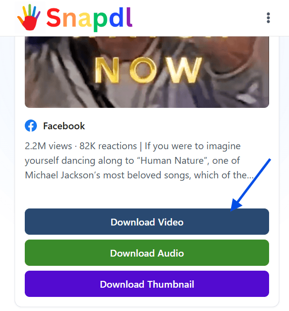 facebook-reel-downloader-how-to-use-step-3