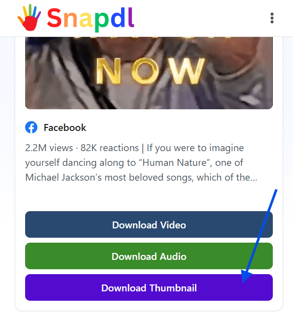 facebook-reel-downloader-how-to-use-step-5
