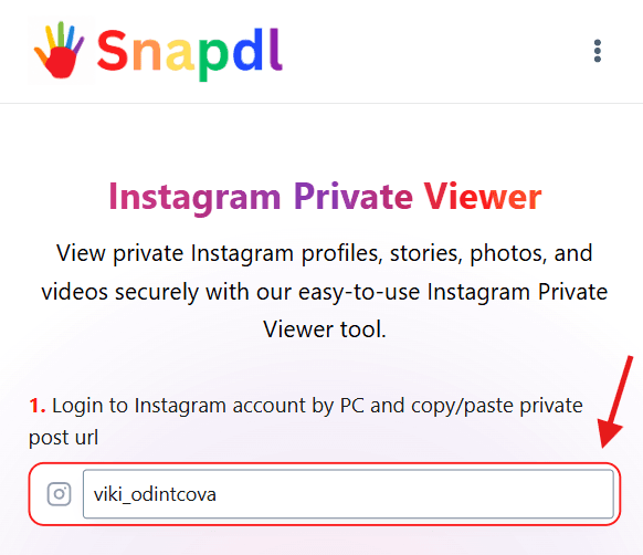 instagram-private-viewer-how-to-use-step-1