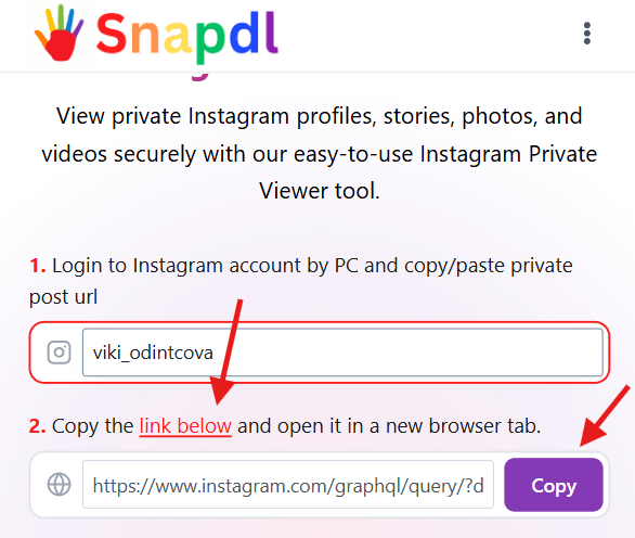 instagram-private-viewer-how-to-use-step-2