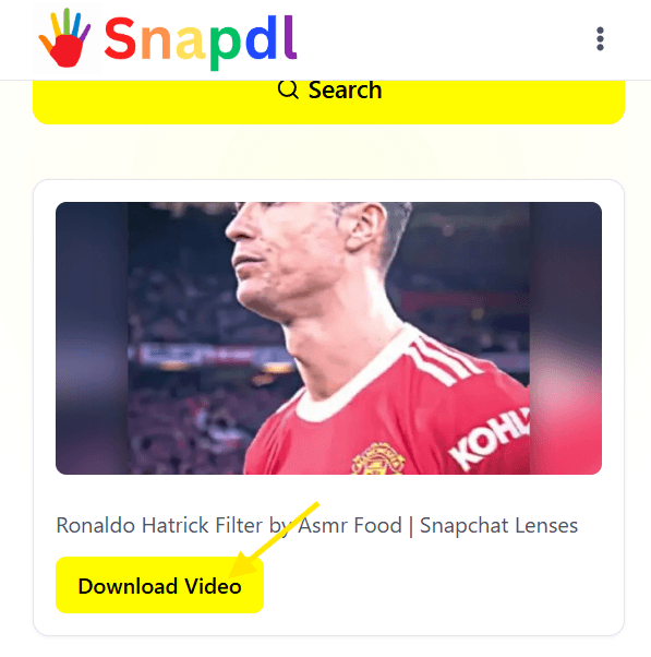 snapchat-video-downloader-how-to-use-step3