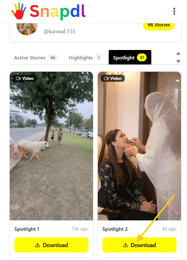 snapchat-viewer-how-to-use-step5